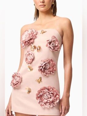 Elliatt Camile 3D Floral Mini Dress Champange Pink